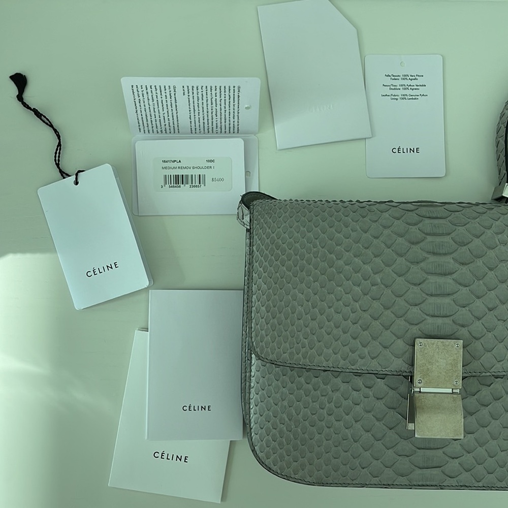 Celine Python Box Bag - Picture 11 of 16